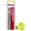 Wilson Primer
