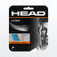 Head Lynx